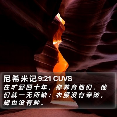 尼 希 米 记 9:21 CUVS Bible Verse Image