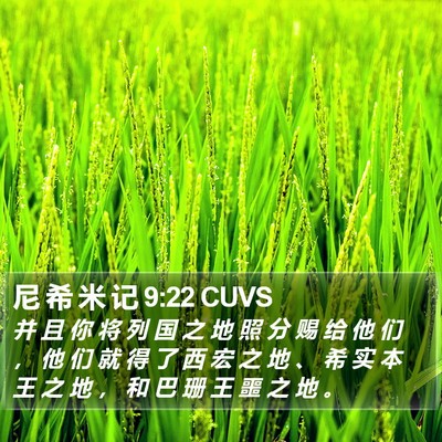 尼 希 米 记 9:22 CUVS Bible Verse Image