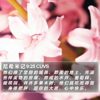 尼 希 米 记 9:25 CUVS Bible Verse Image