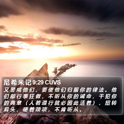 尼 希 米 记 9:29 CUVS Bible Verse Image