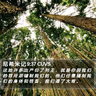 尼 希 米 记 9:37 CUVS Bible Verse Image