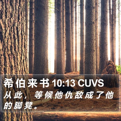 希 伯 来 书 10:13 CUVS Bible Verse Image