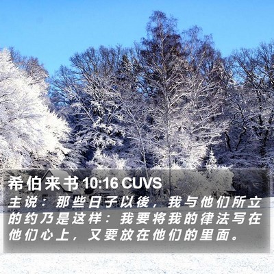 希 伯 来 书 10:16 CUVS Bible Verse Image