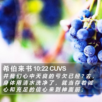 希 伯 来 书 10:22 CUVS Bible Verse Image
