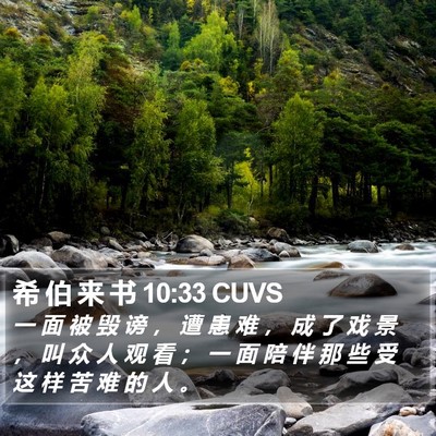 希 伯 来 书 10:33 CUVS Bible Verse Image