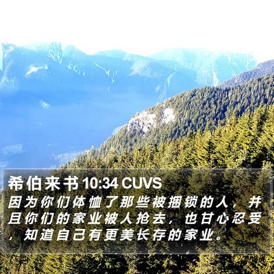 希 伯 来 书 10:34 CUVS Bible Verse Image