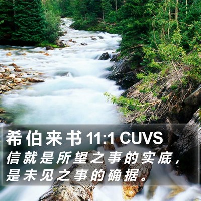 希 伯 来 书 11:1 CUVS Bible Verse Image
