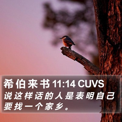 希 伯 来 书 11:14 CUVS Bible Verse Image