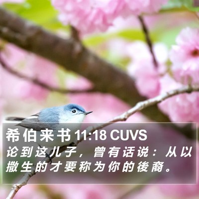 希 伯 来 书 11:18 CUVS Bible Verse Image