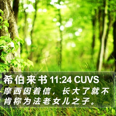 希 伯 来 书 11:24 CUVS Bible Verse Image