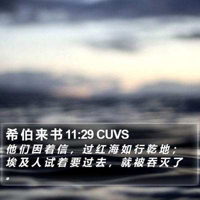 希 伯 来 书 11:29 CUVS Bible Verse Image