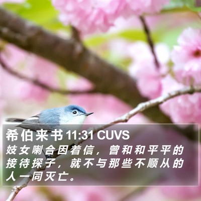 希 伯 来 书 11:31 CUVS Bible Verse Image
