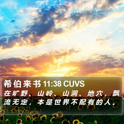 希 伯 来 书 11:38 CUVS Bible Verse Image