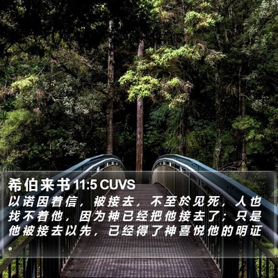 希 伯 来 书 11:5 CUVS Bible Verse Image