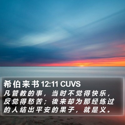 希 伯 来 书 12:11 CUVS Bible Verse Image