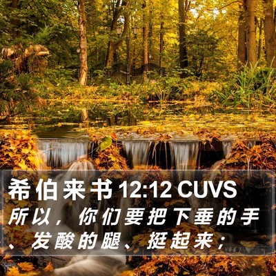 希 伯 来 书 12:12 CUVS Bible Verse Image