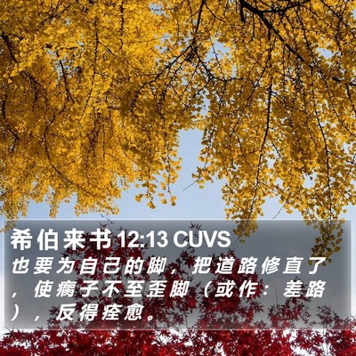 希 伯 来 书 12:13 CUVS Bible Verse Image
