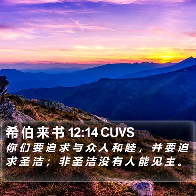 希 伯 来 书 12:14 CUVS Bible Verse Image
