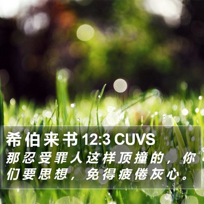 希 伯 来 书 12:3 CUVS Bible Verse Image