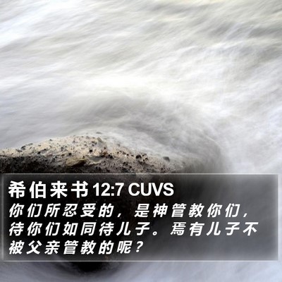 希 伯 来 书 12:7 CUVS Bible Verse Image