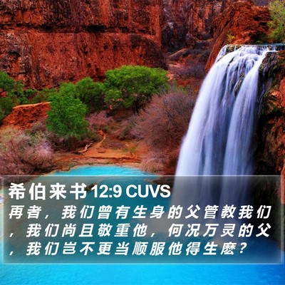 希 伯 来 书 12:9 CUVS Bible Verse Image