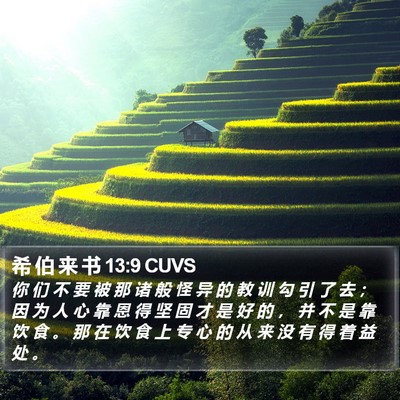 希 伯 来 书 13:9 CUVS Bible Verse Image