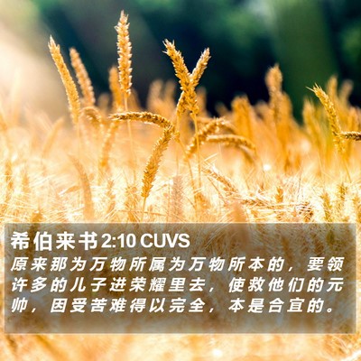 希 伯 来 书 2:10 CUVS Bible Verse Image