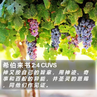 希 伯 来 书 2:4 CUVS Bible Verse Image