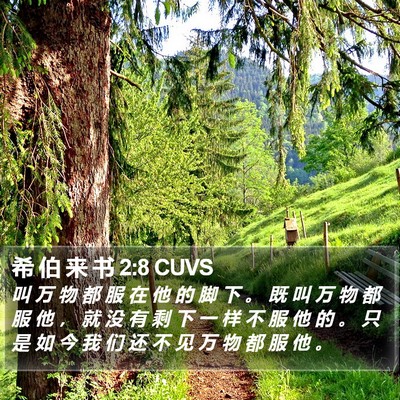 希 伯 来 书 2:8 CUVS Bible Verse Image