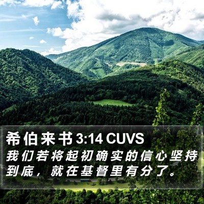 希 伯 来 书 3:14 CUVS Bible Verse Image