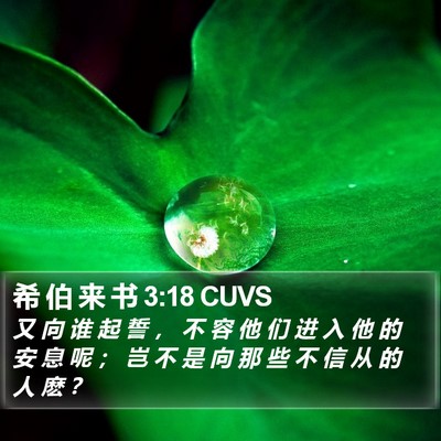希 伯 来 书 3:18 CUVS Bible Verse Image