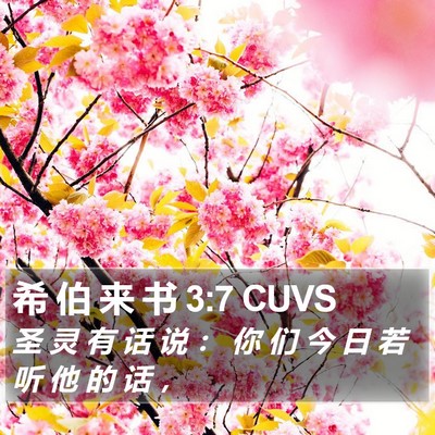 希 伯 来 书 3:7 CUVS Bible Verse Image