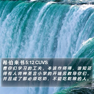 希 伯 来 书 5:12 CUVS Bible Verse Image