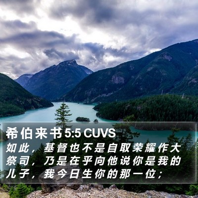 希 伯 来 书 5:5 CUVS Bible Verse Image