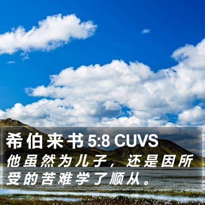 希 伯 来 书 5:8 CUVS Bible Verse Image