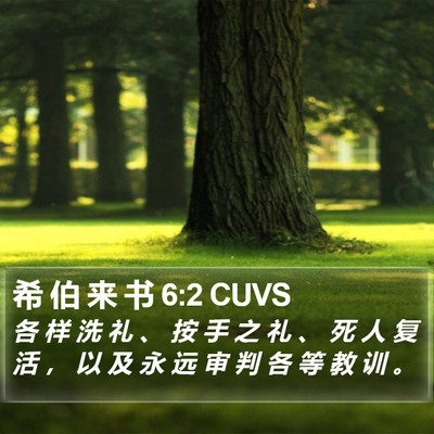 希 伯 来 书 6:2 CUVS Bible Verse Image