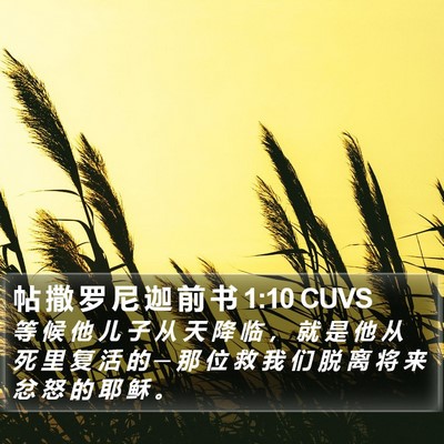 帖 撒 罗 尼 迦 前 书 1:10 CUVS Bible Verse Image