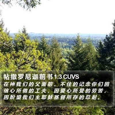 帖 撒 罗 尼 迦 前 书 1:3 CUVS Bible Verse Image
