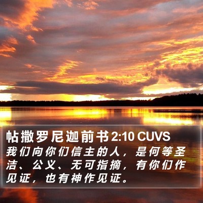 帖 撒 罗 尼 迦 前 书 2:10 CUVS Bible Verse Image