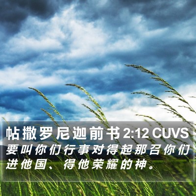 帖 撒 罗 尼 迦 前 书 2:12 CUVS Bible Verse Image