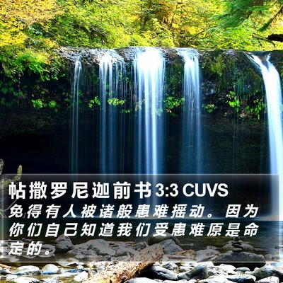帖 撒 罗 尼 迦 前 书 3:3 CUVS Bible Verse Image