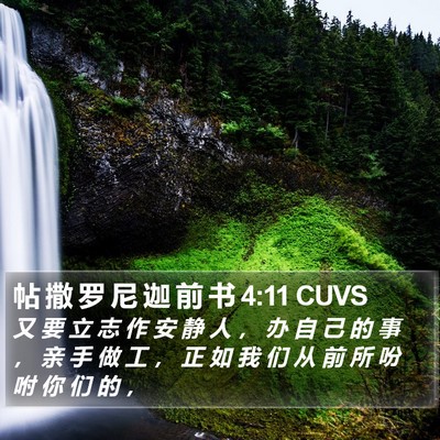 帖 撒 罗 尼 迦 前 书 4:11 CUVS Bible Verse Image