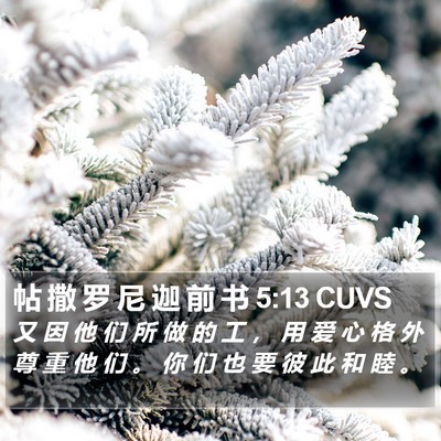 帖 撒 罗 尼 迦 前 书 5:13 CUVS Bible Verse Image