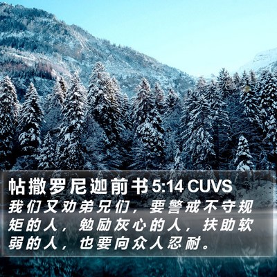 帖 撒 罗 尼 迦 前 书 5:14 CUVS Bible Verse Image
