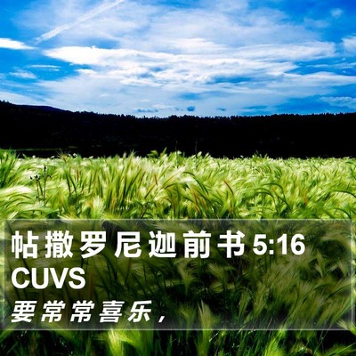 帖 撒 罗 尼 迦 前 书 5:16 CUVS Bible Verse Image