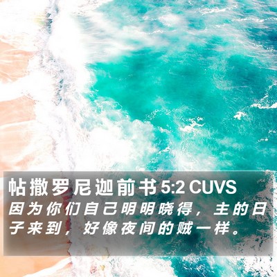 帖 撒 罗 尼 迦 前 书 5:2 CUVS Bible Verse Image