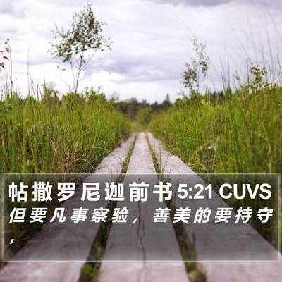 帖 撒 罗 尼 迦 前 书 5:21 CUVS Bible Verse Image