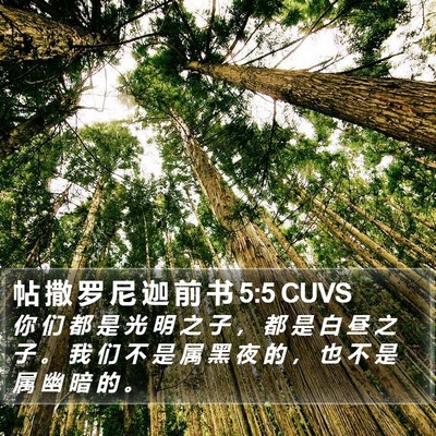 帖 撒 罗 尼 迦 前 书 5:5 CUVS Bible Verse Image