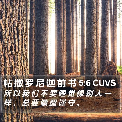 帖 撒 罗 尼 迦 前 书 5:6 CUVS Bible Verse Image