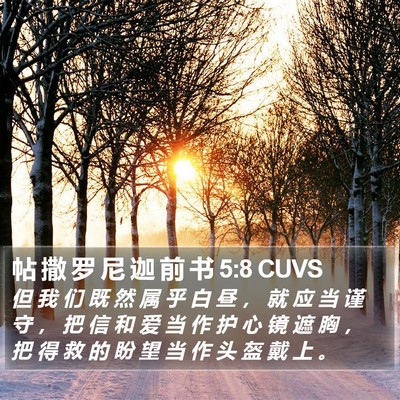 帖 撒 罗 尼 迦 前 书 5:8 CUVS Bible Verse Image
